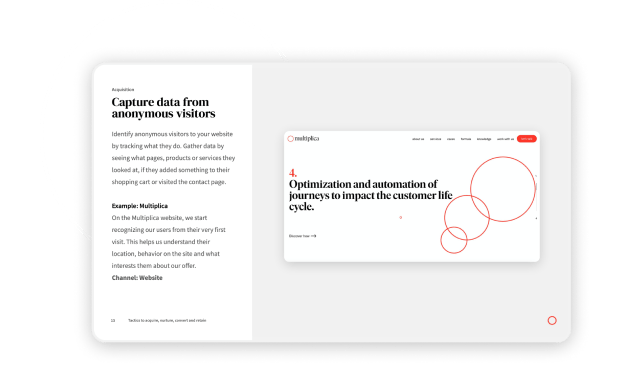 web-image-marketing-tactics-report-02 inside pages of the report