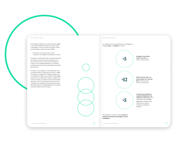 Whitepaper Loyalty B2B_Paginas preview